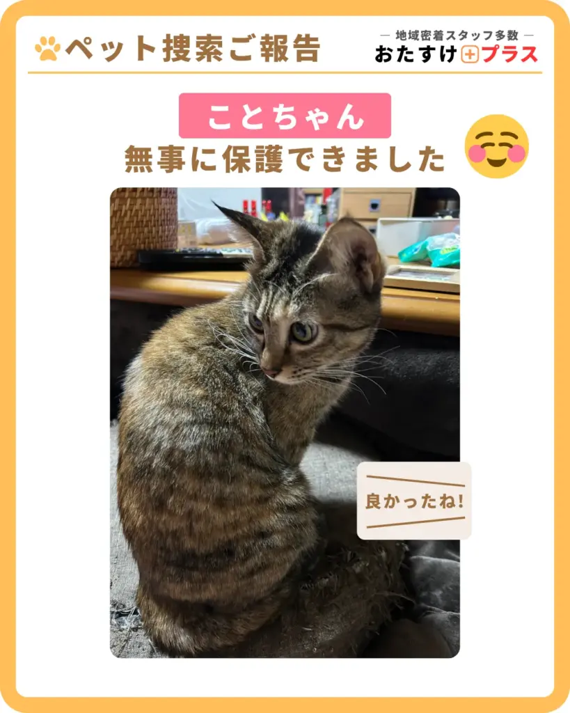 【脱走2日経過→2日プランで保護】埼玉県深谷市ペット(猫)捜索事例