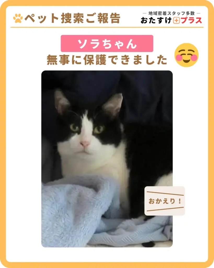 【脱走1日→3日プランで保護】茨城県古河市ペット(猫)捜索事例