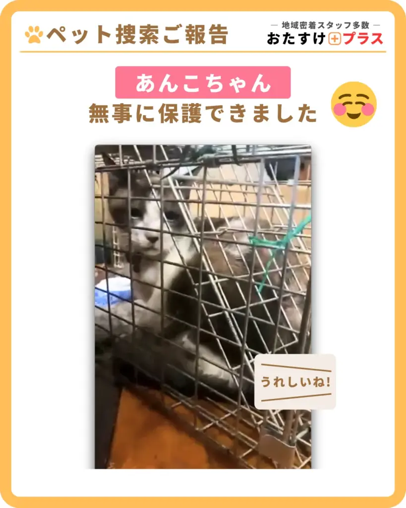 【脱走7日経過→2日プランで保護】京都府亀岡市ペット(猫)捜索事例