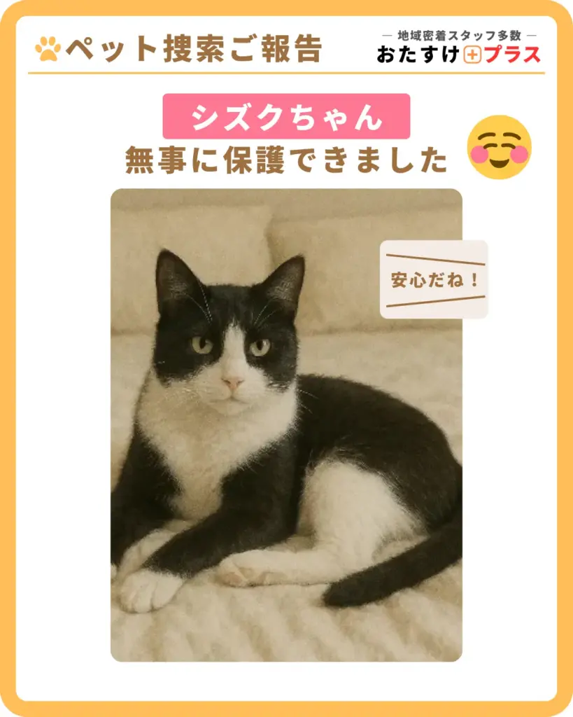 【脱走3日経過→1日プランで保護】栃木県那須郡ペット(猫)捜索事例