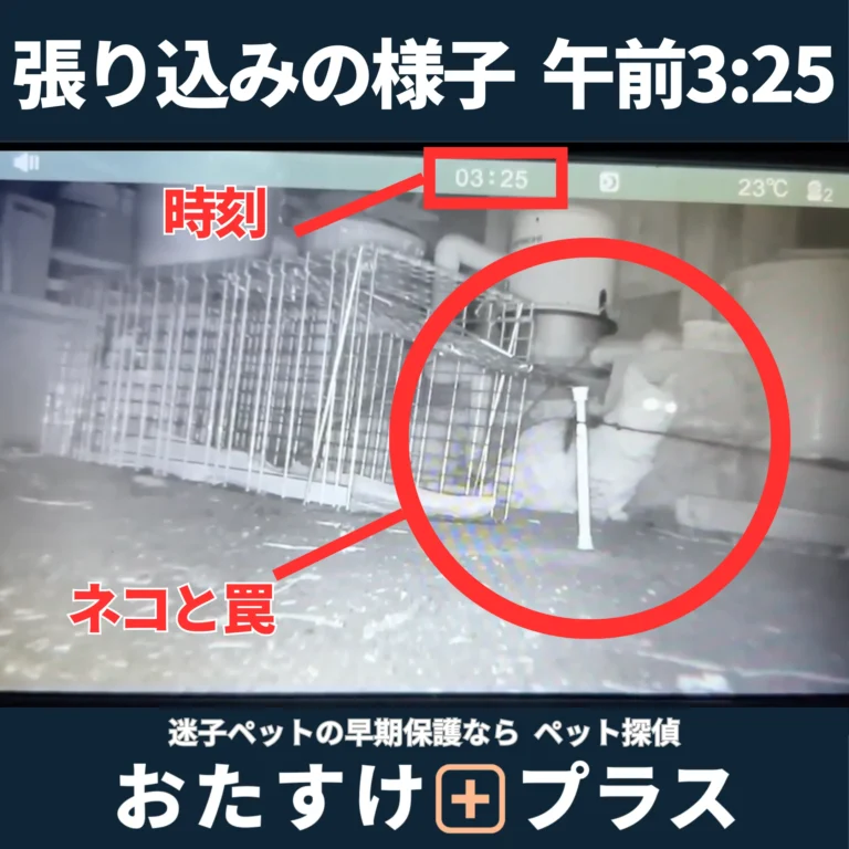 午前3時25分、猫と捕獲器を暗視カメラで見守りながら張り込む捜索現場の様子