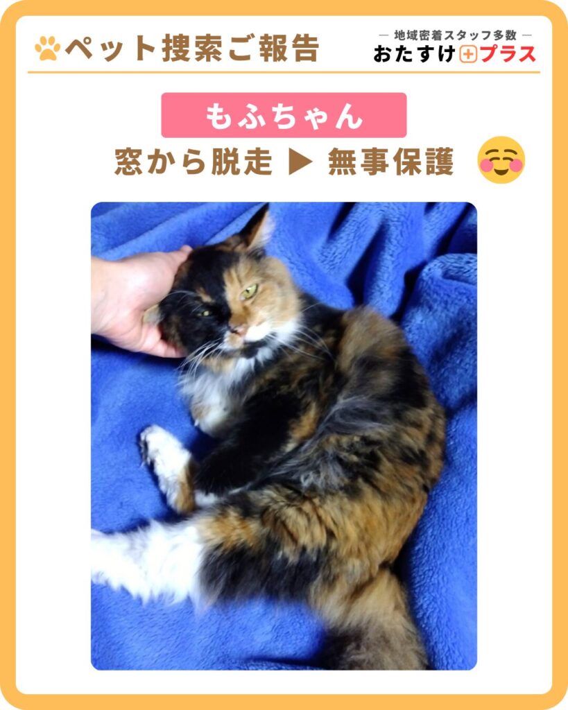 <br />
<b>Warning</b>:  Undefined variable $img_alt in <b>/home/mc001/otasuke-plus.com/public_html/main/wp-content/themes/mct-child/template-parts/content-post.php</b> on line <b>37</b><br />
