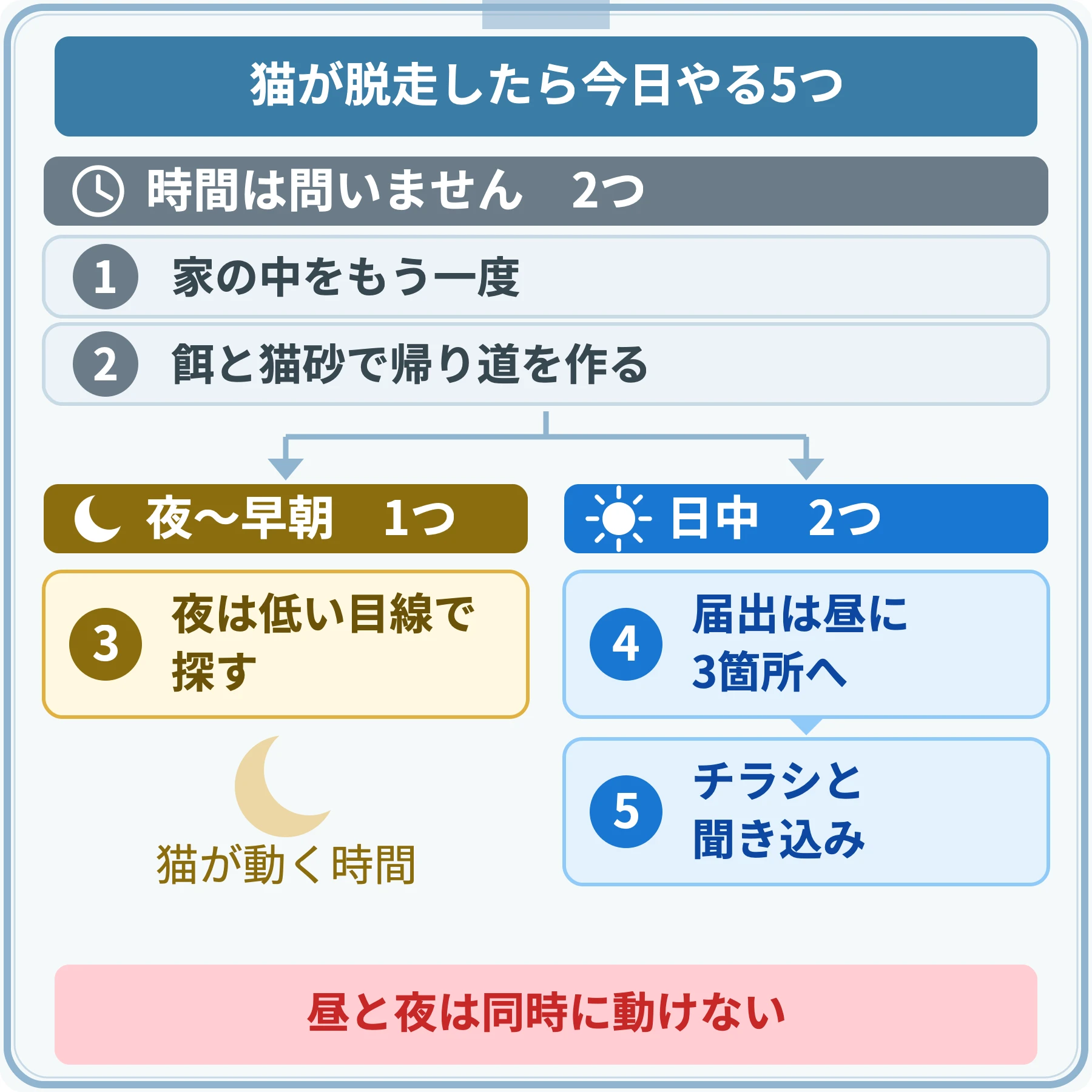 猫が脱走した日にやる5つを、時間を問わない作業・夜の作業・昼の作業の3つに分けた図