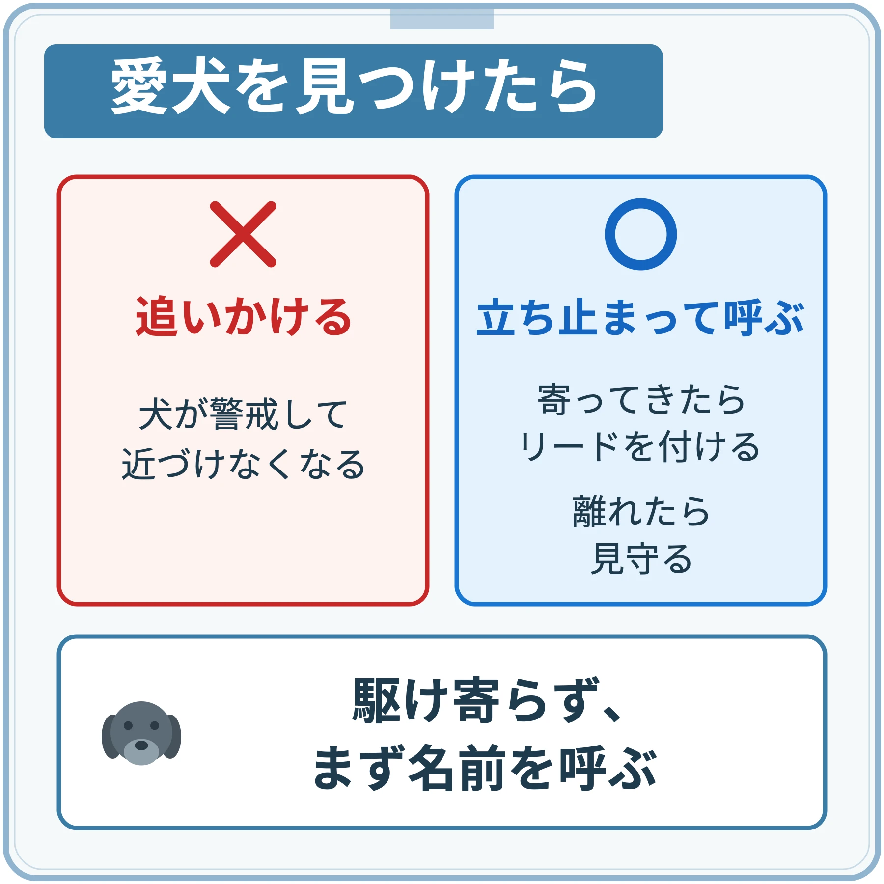 愛犬を見つけたら、追いかけると警戒して近づけなくなる。立ち止まって名前を呼び、寄ってきたらリードを付け、離れたら見守る