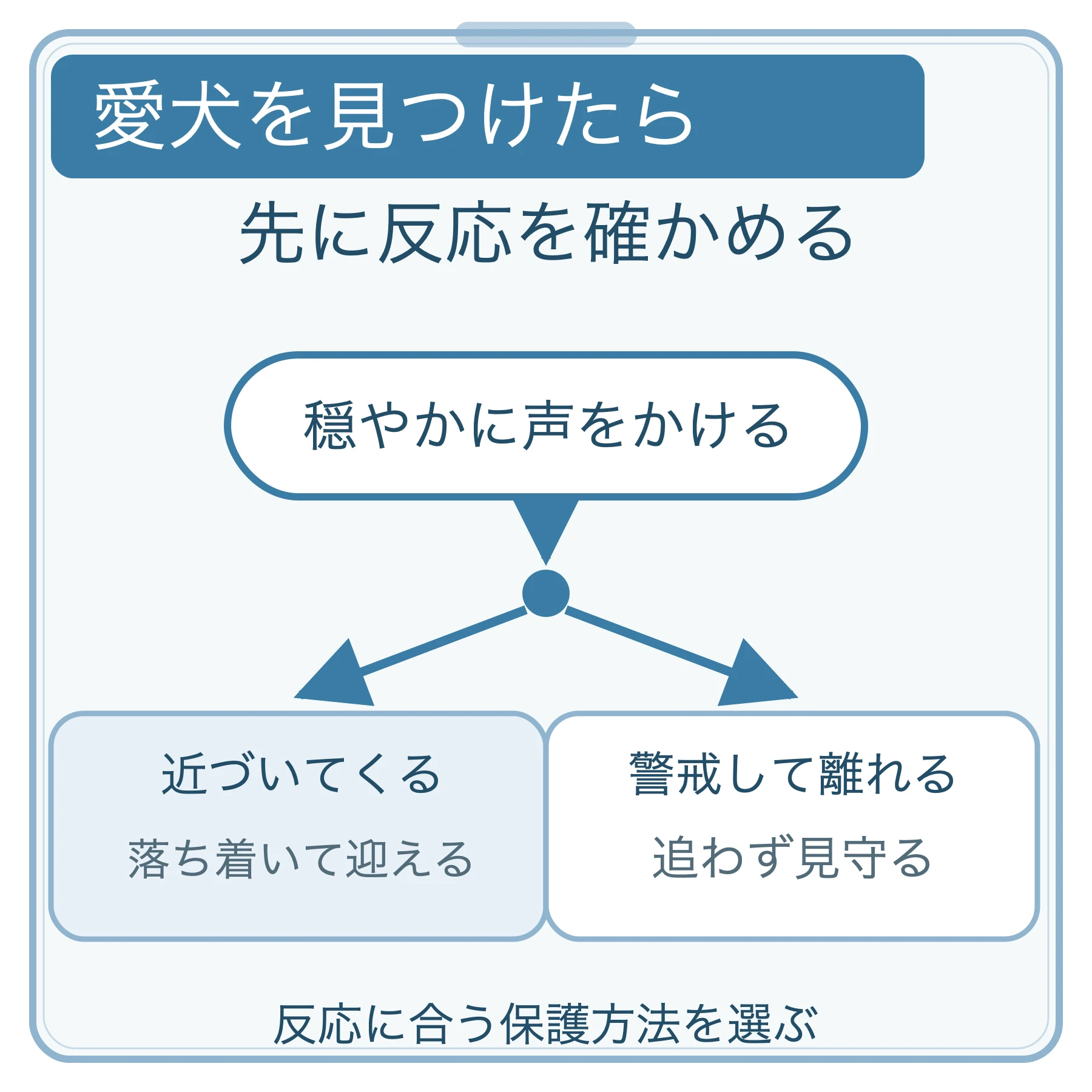 愛犬へ穏やかに声をかけ、近づくなら落ち着いて迎え、警戒して離れるなら追わず見守る分岐
