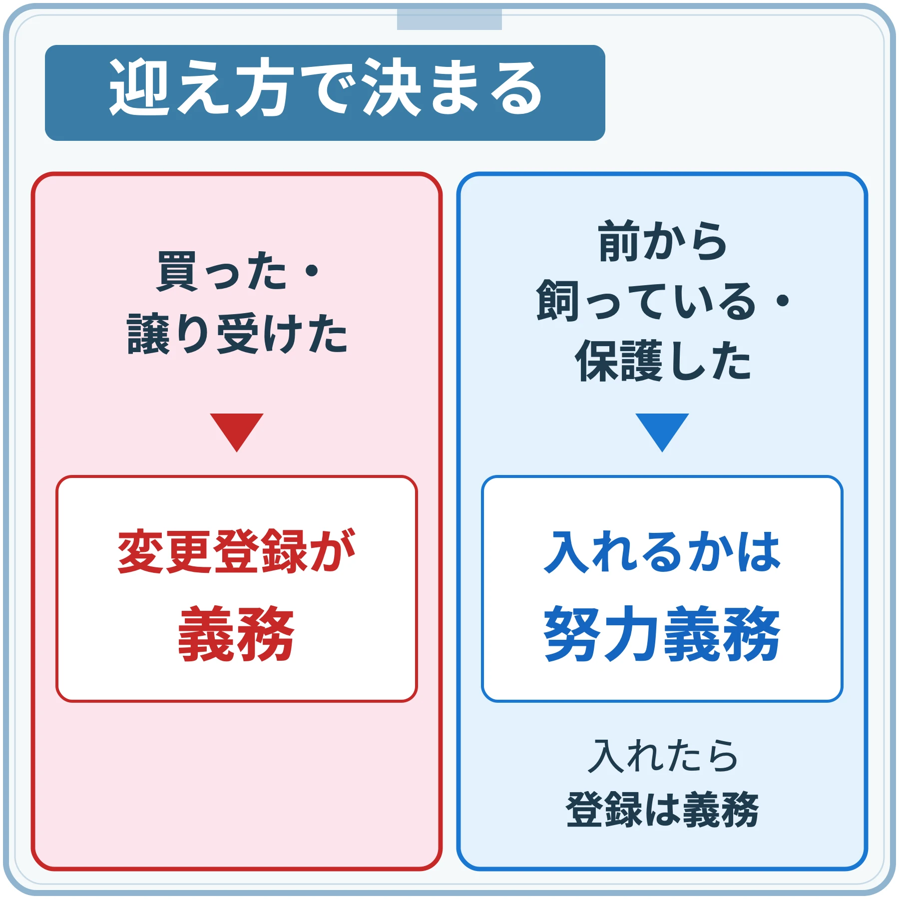 買った・譲り受けた場合は変更登録が義務、前から飼っている・保護した場合は入れるかは努力義務で、入れたら登録は義務になることを2列で示した図