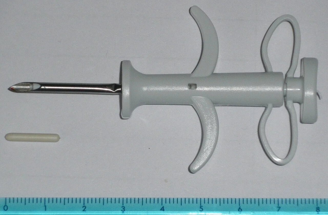 動物用のマイクロチップと、チップを入れるための専用の注射器。定規の横に置かれ、チップが米粒ほどの小さな筒だと分かる