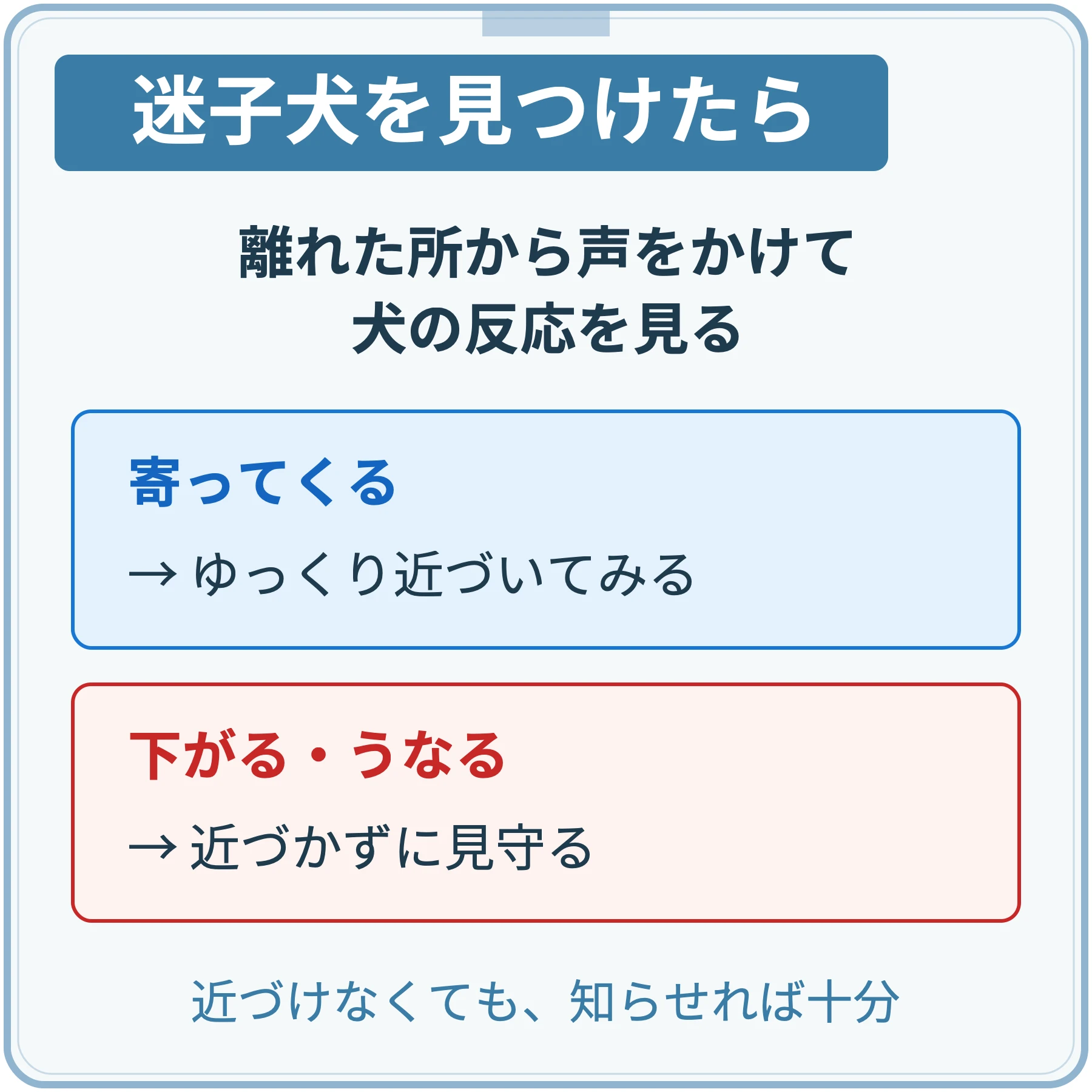 迷子犬を見つけたら、離れた所から声をかけて反応を見る。寄ってくる犬にはゆっくり近づき、下がる・うなる犬には近づかずに見守る