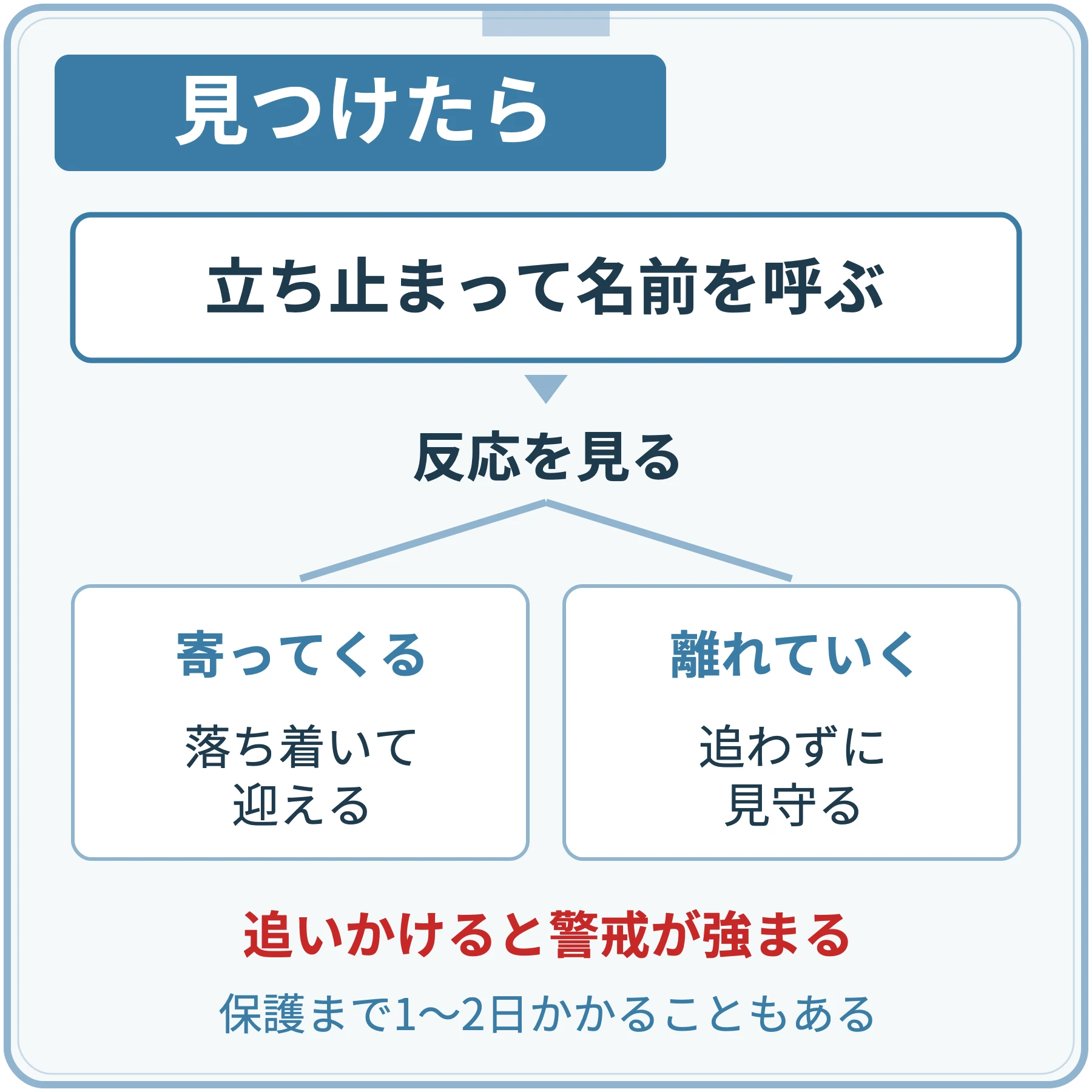 見つけたら、立ち止まって名前を呼び、反応を見る。寄ってきたら落ち着いて迎え、離れていくなら追わずに見守る。追いかけると警戒が強まり、保護まで1〜2日かかることもある