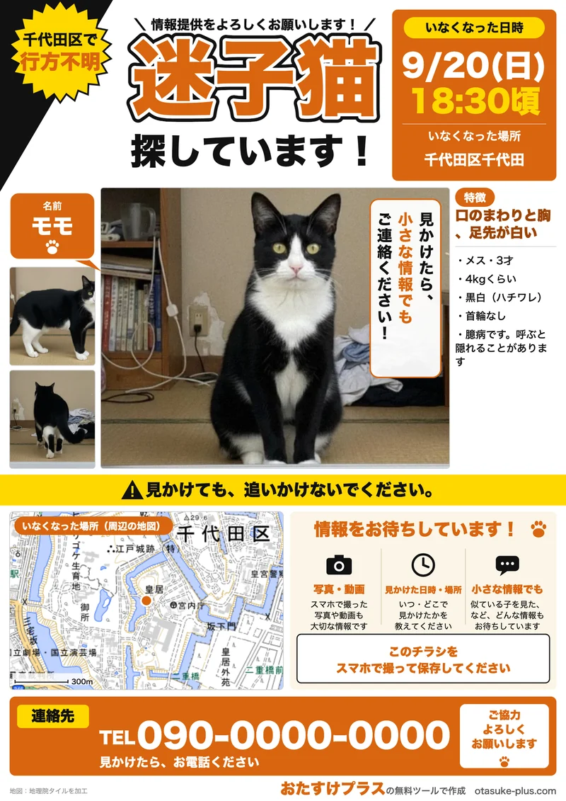 迷子猫ポスターの見本。写真3枚、いなくなった日時と場所、周辺の地図、特徴、連絡先の電話番号が入ったA4のポスター